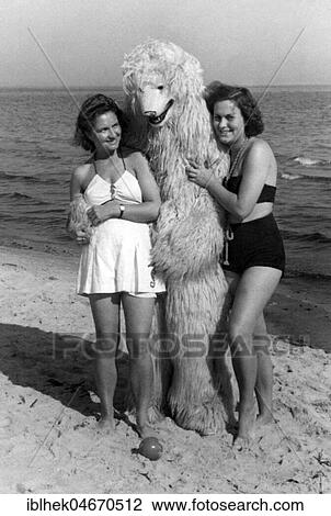 Swimwear, two women posing with polar bear on the beach, 1950s, Baltic Sea, Germany, Europe View Large Photo Image Stock Image - Swimwear, two women posing with polar bear on the beach, 1950s, Baltic Sea, Germany, Europe. Fotosearch