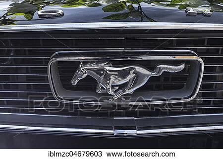 Symbol Radiator grill horse figure, classic car Ford Mustang, Bavaria, Germany, Europe View Large Photo Image Stock Image - Symbol Radiator grill horse figure, classic car Ford Mustang, Bavaria, Germany, Europe. Fotosearch