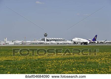 Thai Airways, Boeing, B747, during takeoff, Runway South, Munich Airport, Upper Bavaria, Bavaria, Germany, Europe View Large Photo Image Stock Image - Thai Airways, Boeing, B747, during takeoff, Runway South, Munich Airport, Upper Bavaria, Bavaria, Germany, Europe. Fotosearch