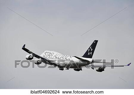 Thai Airways, European Starling Alliance, Boeing, B747-800, European Starlingt, Munich Airport, Upper Bavaria, Bavaria, Germany, Europe View Large Photo Image Picture - Thai Airways, European Starling Alliance, Boeing, B747-800, European Starlingt, Munich Airport, Upper Bavaria, Bavaria, Germany, Europe. Fotosearch