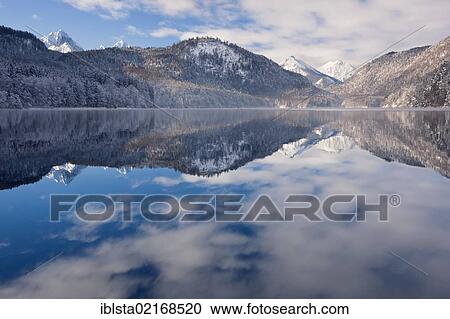 The calm Alpsee Lake reflecting mountains and clouds on a winter morning, Allgaeu, Bavaria, Germany, Europe View Large Photo Image Stock Image - The calm Alpsee Lake reflecting mountains and clouds on a winter morning, Allgaeu, Bavaria, Germany, Europe. Fotosearch