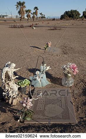 Picture - The Memory Gardens Cemetery and Memorial Park, which is in foreclosure; the irrigation has been cut off, the grass and trees have died, and sand is beginning to cover some of the grave markers, Brawley, California, USA, North America. Fotosearch