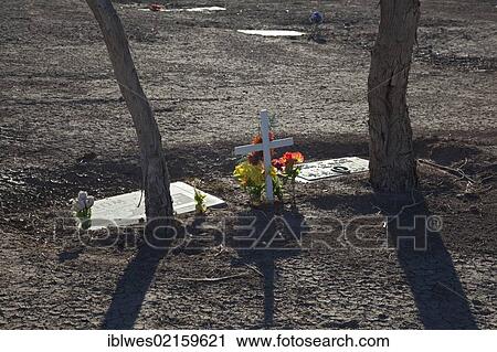 The Memory Gardens Cemetery and Memorial Park, which is in foreclosure; the irrigation has been cut off, the trees have died, and sand is beginning to cover some of the grave markers, Brawley, California, USA, North America View Large Photo Image Stock Image - The Memory Gardens Cemetery and Memorial Park, which is in foreclosure; the irrigation has been cut off, the trees have died, and sand is beginning to cover some of the grave markers, Brawley, California, USA, North America. Fotosearch