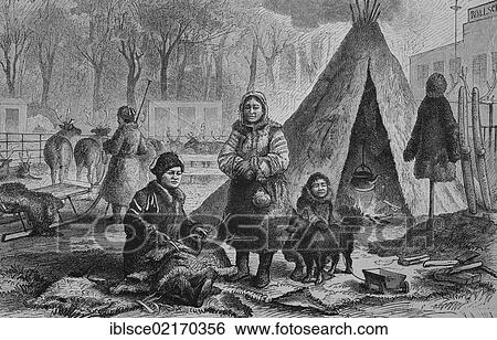The Samoyed in the Zoological Gardens in Leipzig, Saxony, Germany, historical engraving, 1883, Europe View Large Photo Image Stock Photograph - The Samoyed in the Zoological Gardens in Leipzig, Saxony, Germany, historical engraving, 1883, Europe. Fotosearch