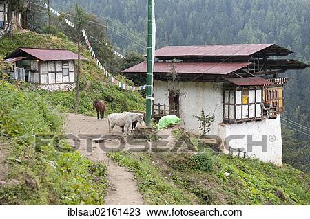 Tibetan Buddhism, horses, traditional houses, Tango Goemba Monastery, near Thimphu, the Himalayas, Kingdom of Bhutan, South Asia, Asia View Large Photo Image Stock Image - Tibetan Buddhism, horses, traditional houses, Tango Goemba Monastery, near Thimphu, the Himalayas, Kingdom of Bhutan, South Asia, Asia. Fotosearch