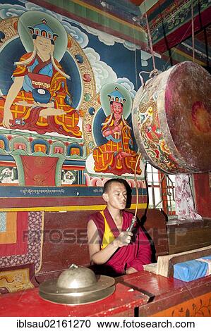 Tibetan Buddhism, monk beating drum, Yung Drung Kundrak Lingbon Monastery, Bon Sect, near Ravangla, Sikkim, Himalayas, India, South Asia, Asia View Large Photo Image Stock Image - Tibetan Buddhism, monk beating drum, Yung Drung Kundrak Lingbon Monastery, Bon Sect, near Ravangla, Sikkim, Himalayas, India, South Asia, Asia. Fotosearch