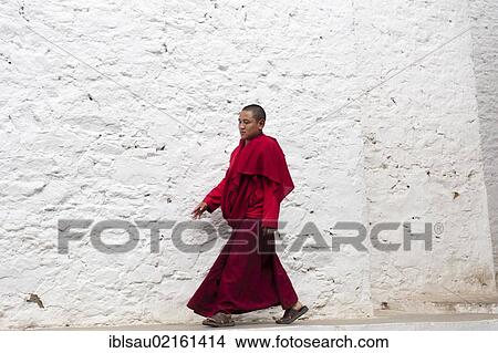 Tibetan Buddhism, monk in a red robe walking in front of a white wall, Tango Goemba Monastery, near Thimphu, the Himalayas, Kingdom of Bhutan, South Asia, Asia View Large Photo Image Picture - Tibetan Buddhism, monk in a red robe walking in front of a white wall, Tango Goemba Monastery, near Thimphu, the Himalayas, Kingdom of Bhutan, South Asia, Asia. Fotosearch
