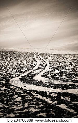 Stock Photo - Tire tracks on a winter field landscape, Auvergne, Puy de Dome department, Auvergne-Rhône-Alpes, France, Europe. Fotosearch