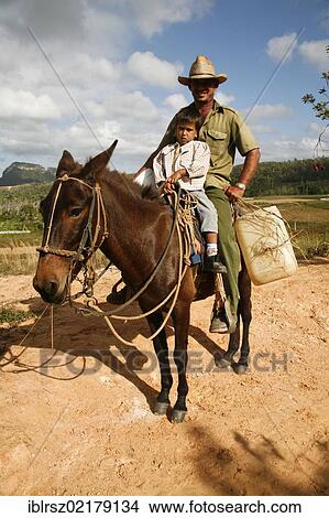 Picture - Tobacco farmer on horseback in Vinales, Cuba, Greater Antilles, Caribbean, North America. Fotosearch