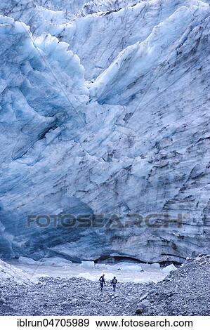 Tourist hiking to the giant glacial outflow of Fox Glacier, South Island, New Zealand, Oceania View Large Photo Image Stock Photo - Tourist hiking to the giant glacial outflow of Fox Glacier, South Island, New Zealand, Oceania. Fotosearch