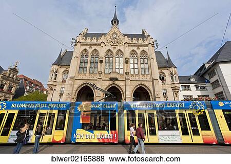 Tram in front of the town hall, Fischmarkt square, Erfurt, Thuringia, Germany, Europe View Large Photo Image Stock Photo - Tram in front of the town hall, Fischmarkt square, Erfurt, Thuringia, Germany, Europe. Fotosearch