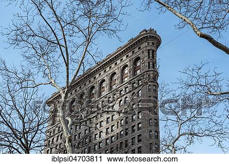 Tree and Flatiron Building, Manhattan, New York City, USA, North America View Large Photo Image Stock Image - Tree and Flatiron Building, Manhattan, New York City, USA, North America. Fotosearch