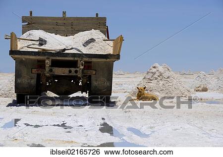 Stock Photograph - Truck on a salt lake, Uyuni, Bolivia, South America. Fotosearch