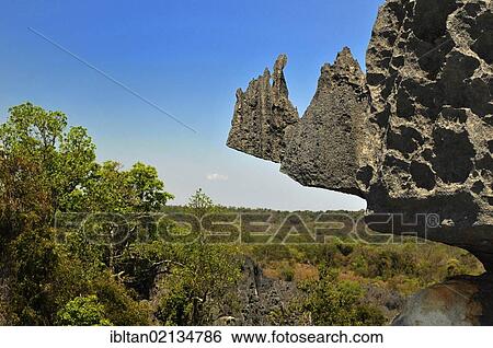 Tsingy, limestone formations, Tsingy de Bemaraha National Park, UNESCO World Heritage Site, Western Madagascar, Africa View Large Photo Image Stock Photograph - Tsingy, limestone formations, Tsingy de Bemaraha National Park, UNESCO World Heritage Site, Western Madagascar, Africa. Fotosearch