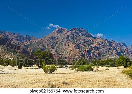 Picture - Typical mountain landscape with Argan (Argania spinosa) trees and a corn field in the Anti-Atlas mountains, southern Morocco, Morocco, Africa. Fotosearch