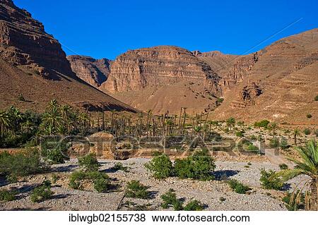 Stock Photo - Typical mountain landscape with palm trees in a dry river bed in the Ait Mansour valley, Anti-Atlas mountains, southern Morocco, Morocco, Africa. Fotosearch