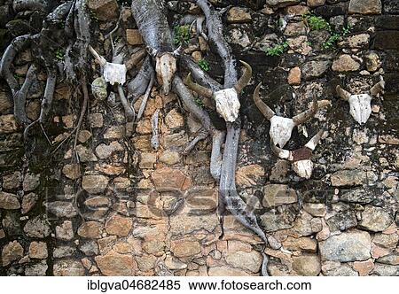 Stock Photography - UNESCO World Heritage Site: Royal Hill of Ambohimanga, zebra horns as offerings, Ambohimanga, Antananarivo Avaradrano Province, Madagascar, Africa. Fotosearch