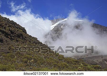 View from Barranco Hut Camp, 3950 m, Mount Kilimanjaro, Tanzania, Africa View Large Photo Image Stock Image - View from Barranco Hut Camp, 3950 m, Mount Kilimanjaro, Tanzania, Africa. Fotosearch