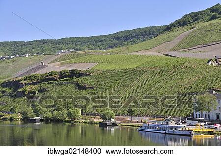View from Kues across the Moselle River towards the vineyards of Bernkastel, Bernkastel-Kues, Rhineland-Palatinate, Germany, Europe, PublicGround, Europe View Large Photo Image Stock Image - View from Kues across the Moselle River towards the vineyards of Bernkastel, Bernkastel-Kues, Rhineland-Palatinate, Germany, Europe, PublicGround, Europe. Fotosearch