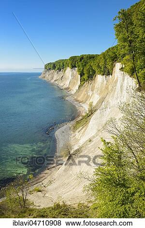 View from the high bank to the Baltic Sea and the chalk cliffs in spring, Jasmund National Park, Rügen Island, Mecklenburg-Western Pomerania, Germany, Europe View Large Photo Image Stock Photo - View from the high bank to the Baltic Sea and the chalk cliffs in spring, Jasmund National Park, Rügen Island, Mecklenburg-Western Pomerania, Germany, Europe. Fotosearch