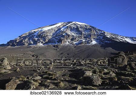 View to the summit of Mount Kilimanjaro, as seen from the Barranco Hut, Tanzania, Africa View Large Photo Image Stock Photo - View to the summit of Mount Kilimanjaro, as seen from the Barranco Hut, Tanzania, Africa. Fotosearch