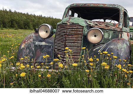 Stock Photo - Vintage car, scrap car, Vauxhalll, 1940s, car cemetery at Ystafell Transportation Museum, Samgönguminjasafnið Ystafelli, North Iceland, Iceland, Europe. Fotosearch