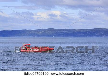 Whale watching tourists on the St. Lawrence River, Tadoussac, Québec Province, Canada, North America View Large Photo Image Stock Image - Whale watching tourists on the St. Lawrence River, Tadoussac, Québec Province, Canada, North America. Fotosearch