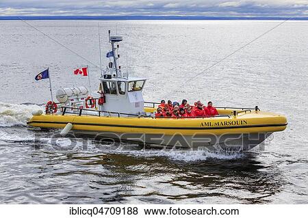 Whale watching tourists on the St. Lawrence River, Tadoussac, Québec Province, Canada, North America View Large Photo Image Stock Photo - Whale watching tourists on the St. Lawrence River, Tadoussac, Québec Province, Canada, North America. Fotosearch