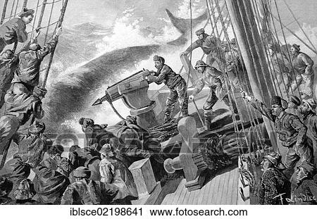 Stock Image - Whalers with a harpoon gun, historic wood engraving, about 1897. Fotosearch