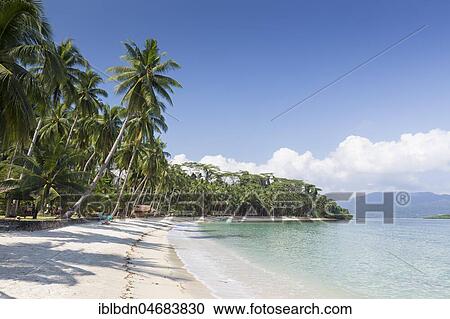 White beach, near Port Barton, Palawan island, Philippines, Asia View Large Photo Image Stock Image - White beach, near Port Barton, Palawan island, Philippines, Asia. Fotosearch