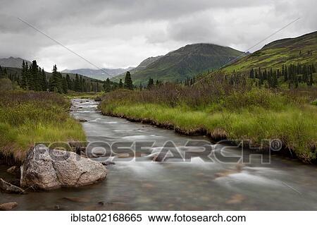 Willow Creek river in the Talkettna Mountains, Alaska, USA, North America View Large Photo Image Stock Photography - Willow Creek river in the Talkettna Mountains, Alaska, USA, North America. Fotosearch
