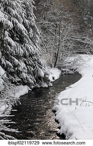 Winter landscape at a river, Hinterzarten, Baden-Wuerttemberg, Black Forest, Germany, Europe View Large Photo Image Stock Photo - Winter landscape at a river, Hinterzarten, Baden-Wuerttemberg, Black Forest, Germany, Europe. Fotosearch