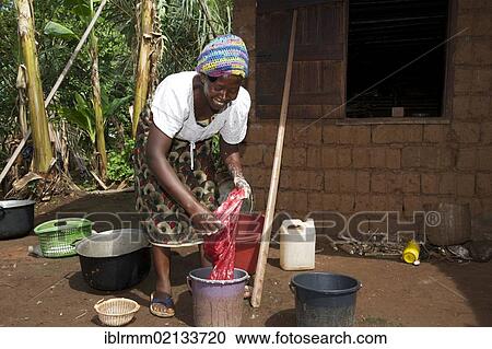 Woman washing the dishes, Bamenda, Cameroon, Africa View Large Photo Image Stock Image - Woman washing the dishes, Bamenda, Cameroon, Africa. Fotosearch