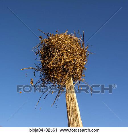 Wooden post in front of blue sky, Auvergne Rhône Alpes, France, Europe View Large Photo Image Stock Image - Wooden post in front of blue sky, Auvergne Rhône Alpes, France, Europe. Fotosearch