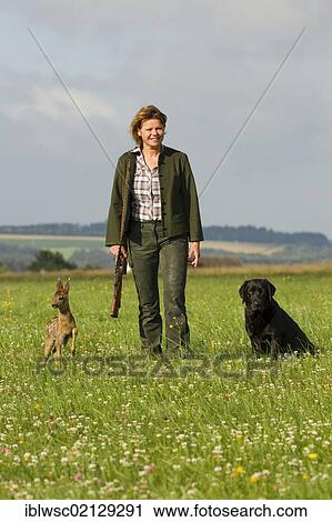 Young female hunter with a Labrador and a Roe Deer (Capreolus capreolus), fawn, 5-6 weeks, hand-rearing, Vulkaneifel district, Rhineland-Palatinate, Germany, Europe View Large Photo Image Stock Image - Young female hunter with a Labrador and a Roe Deer (Capreolus capreolus), fawn, 5-6 weeks, hand-rearing, Vulkaneifel district, Rhineland-Palatinate, Germany, Europe. Fotosearch