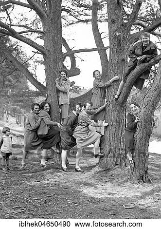 Stock Image - A group of women climbing a tree, 1930s, Germany, Europe. Fotosearch