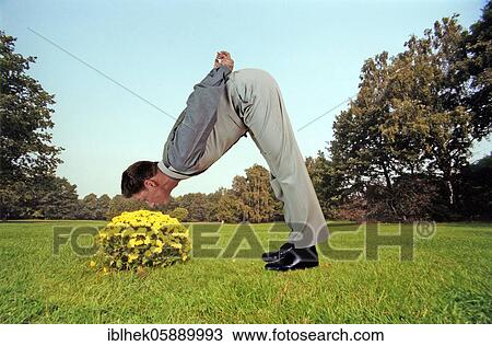 Stock Image - Acrobat, man smells yellow flowers, Berlin, Germany, Europe. Fotosearch
