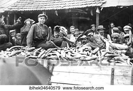 Agriculture, farmers harvesting cucumber, 1920s, exact location unknown, Germany, Europe View Large Photo Image Stock Photo - Agriculture, farmers harvesting cucumber, 1920s, exact location unknown, Germany, Europe. Fotosearch