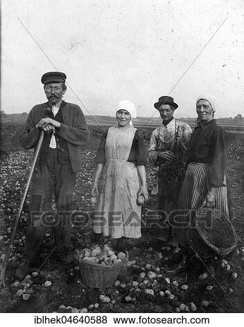 Agriculture, group of farmers harvesting potatoes, 1920s, exact place unknown, Germany, Europe View Large Photo Image Stock Photo - Agriculture, group of farmers harvesting potatoes, 1920s, exact place unknown, Germany, Europe. Fotosearch