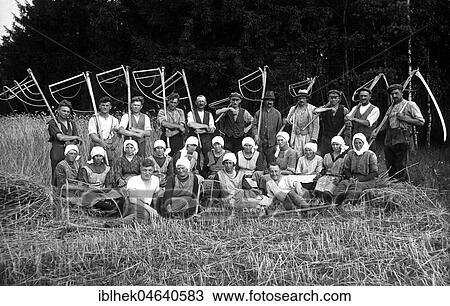 Stock Image - Agriculture, group of farmers with sickles and flails during hay harvesting, 1920s, exact place unknown, Germany, Europe. Fotosearch