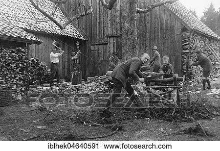 Agriculture, men chopping wood, 1930s, exact place unknown, Germany, Europe View Large Photo Image Stock Image - Agriculture, men chopping wood, 1930s, exact place unknown, Germany, Europe. Fotosearch