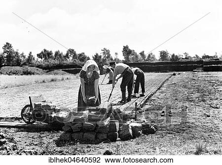 Agriculture, turf cutting workers, 1930s, exact location unknown, Germany, Europe View Large Photo Image Stock Image - Agriculture, turf cutting workers, 1930s, exact location unknown, Germany, Europe. Fotosearch