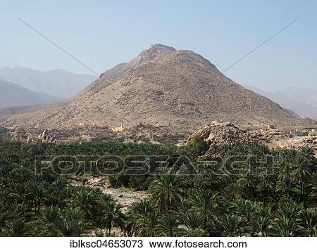 Stock Image - Al Hajar Mountains, in front palm oasis, view from the fortress Nakhl, Nakhl, Oman, Asia. Fotosearch