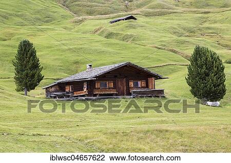 Alpine hut between alpine meadows, South Tyrolean Alps, Dolomites, South Tyrol View Large Photo Image Stock Image - Alpine hut between alpine meadows, South Tyrolean Alps, Dolomites, South Tyrol. Fotosearch