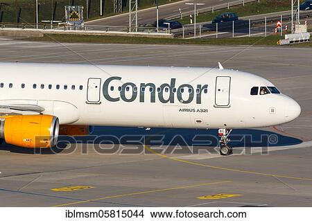 An Airbus A321 of the Condor with the registration D-AIAC at Munich Airport (MUC), Munich, Germany, Europe View Large Photo Image Picture - An Airbus A321 of the Condor with the registration D-AIAC at Munich Airport (MUC), Munich, Germany, Europe. Fotosearch