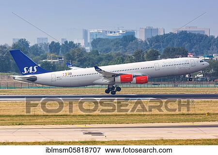 An Airbus A340-300 aircraft of SAS Scandinavian Airlines with registration OY-KBD at Beijing Airport (PEK), Beijing, China, Asia View Large Photo Image Stock Photo - An Airbus A340-300 aircraft of SAS Scandinavian Airlines with registration OY-KBD at Beijing Airport (PEK), Beijing, China, Asia. Fotosearch