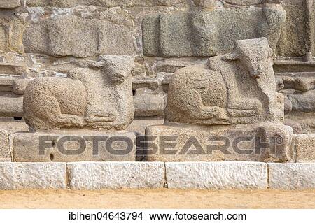 Picture - Animal sulptures at The Shore Temple, Mahabalipuram, Tamil Nadu, India, Asia. Fotosearch