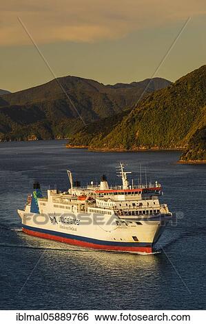 Arriving ferry from the North Island at sunset, Picton, Marlborough Sounds, South Island, New Zealand, Oceania View Large Photo Image Stock Photograph - Arriving ferry from the North Island at sunset, Picton, Marlborough Sounds, South Island, New Zealand, Oceania. Fotosearch