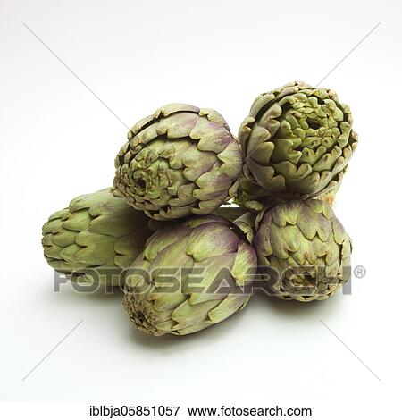 Artichokes, studio shot, France, Europe View Large Photo Image Stock Photo - Artichokes, studio shot, France, Europe. Fotosearch