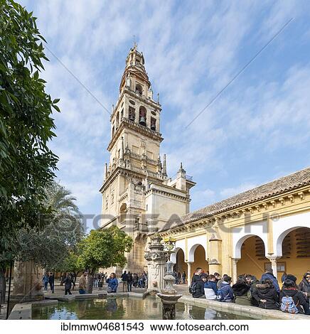 Stock Image - Atrium, Patio de los Naranjos, Mezquita, Mezquita-Catedral de Córdoba or Cathedral of the Conception of Our Lady, Córdoba, Cordoba Province, Andalusia, Spain, Europe. Fotosearch